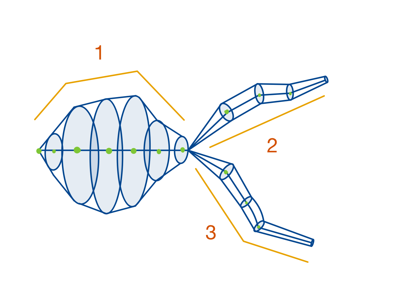 ../_images/morphology.png